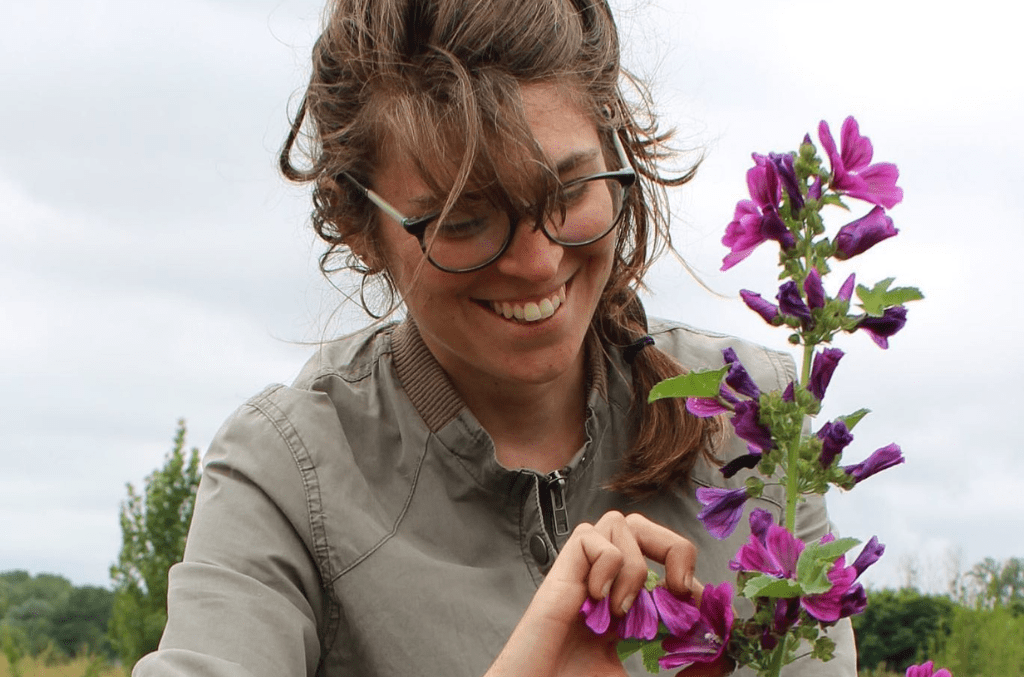 Des souvenirs à&nbsp;infuser